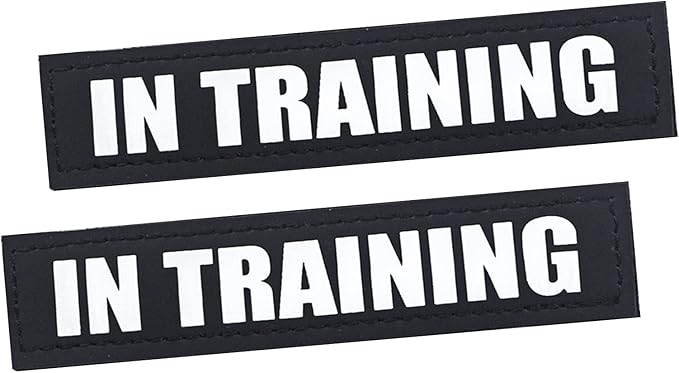 2Pack Service Dog Patches, Black Vest Patch for Dogs, Hook Backing Removable Harness Patches, in Training-S
