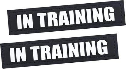 2Pack Service Dog Patches, Black Vest Patch for Dogs, Hook Backing Removable Harness Patches, in Training-S