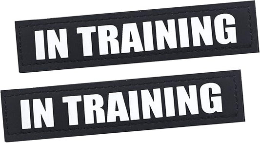 2Pack Service Dog Patches, Black Vest Patch for Dogs, Hook Backing Removable Harness Patches, in Training-S