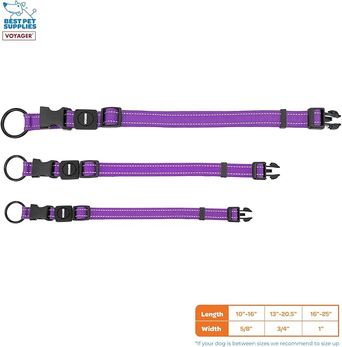 Best Pet Supplies Voyager Reflective Dog Leash or Collar with Neoprene Handle, for Small, Medium, and Large Breed Puppies, Cute and Heavy Duty for Walking, Running and Training - Purple, S