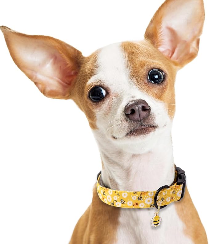 Faygarsle Dog Collar for Small Medium Large Dogs Yellow Puppy Collars for Female Dogs Floral Bee Daisy Patterned Pet Collars for Summer Spring Wedding Puppy Girl Dog Collar S