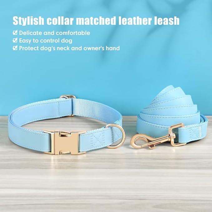 PET ARTIST Soft PU Leather Dog Collar and Leash Set, Bright & Stylish 5FT PU Leather Leash and Collar Set, Durable Pet Collars with Quick Release Metal Buckle for Small Dogs,Blue,S(9"-14")