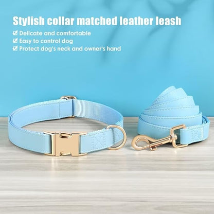PET ARTIST Soft PU Leather Dog Collar and Leash Set, Bright & Stylish 5FT PU Leather Leash and Collar Set, Durable Pet Collars with Quick Release Metal Buckle for Small Dogs,Blue,S(9"-14")