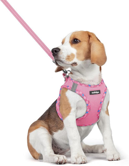rabbitgoo Dog Harness Small Medium Sized and Leash Set, Step in Soft Light Puppy Vest, Breathable Mesh Pet Harness, Reflective for Safe Easy Walking, Pink & Plaid Trim L