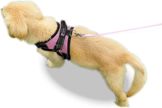 No Pull Reflective Adjustable Dog Harness with Handle- Comfortable Soft All Weather Mesh, Easy On Puppy Harness for Small Medium and Large Dogs (Pink) X-Large