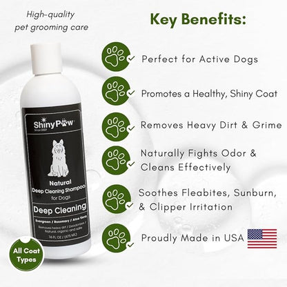 Shiny Paw Natural Deep Cleaning Organic Dog Shampoo 16 oz | Dog Itching Skin Relief with Evergreen, Aloe & Rosemary | Natural Dog Shampoo for Smelly Dogs