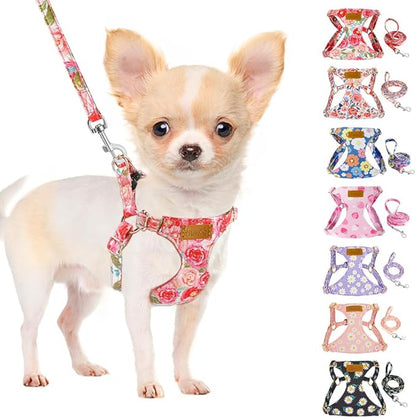SlowTon Dog Harness Small Sized Dog - Soft XXS Dog Harness and Leash Set No Pull No Chock, Adjustable Lightweight Puppy Harness for XS Small Medium Dogs Cats (Pink Rose, S)