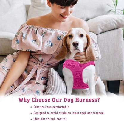 Comfort Fit Dog Harness No Pull No Escape Harness Adjustable Buckles Soft Padded Reflective Choke Step in Dog Vest with Easy Control Handle for Small Medium Large Dogs & Puppies