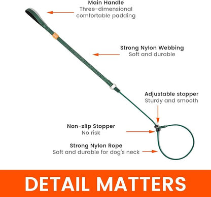 Howgo Dog Slip Lead Dog Leash, Training Lead, No-Pull Slip Leash and Collar, Heavy Duty & Durable Nylon, Padded Handle, for All Breeds (Orange, 3.6FT)