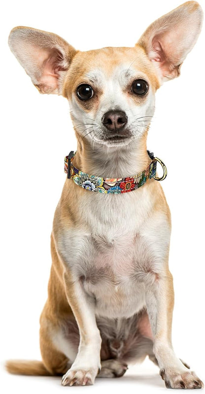 Reflective Dog Collar for Extra Small Dogs, Cute Boho Adjustable Heavy-Duty Nylon Puppy Collar for Boy and Girl Female, Soft Pet Accessories with Quick Release Buckle, Colorful Mandala