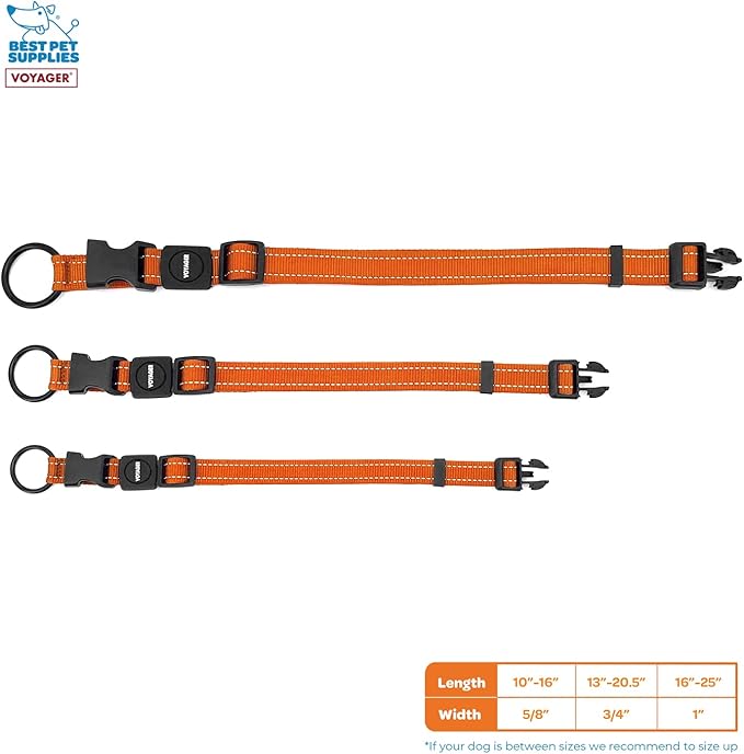 Best Pet Supplies Voyager Reflective Dog Leash or Collar with Neoprene Handle, for Small, Medium, and Large Breed Puppies, Cute and Heavy Duty for Walking, Running and Training - Orange, L