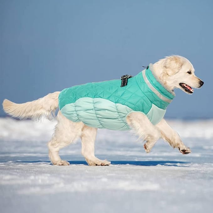 Lelepet Dog Coat Warm Dog Winter Coat Waterproof Dogs Jacket with Harness Built in Reflective Pet Fleece Vest Zip-Up Cold Weather Coats for Dogs Turtleneck & Windproof Coats Chihuahua Mint Green XS