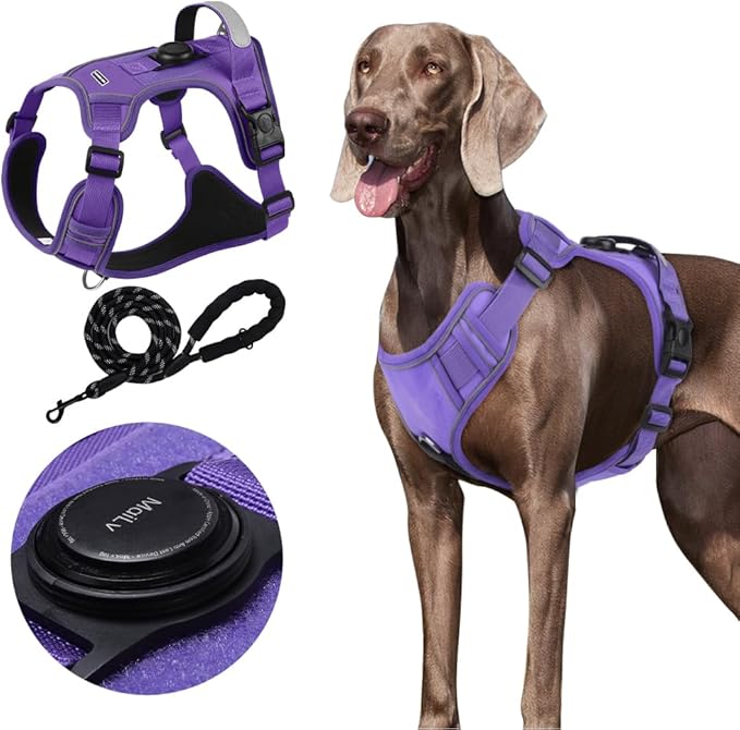 Airtag Dog Harness Chest Plate Reflective No Pull Harness with Leash for Extra Large Dogs (Purple, L)