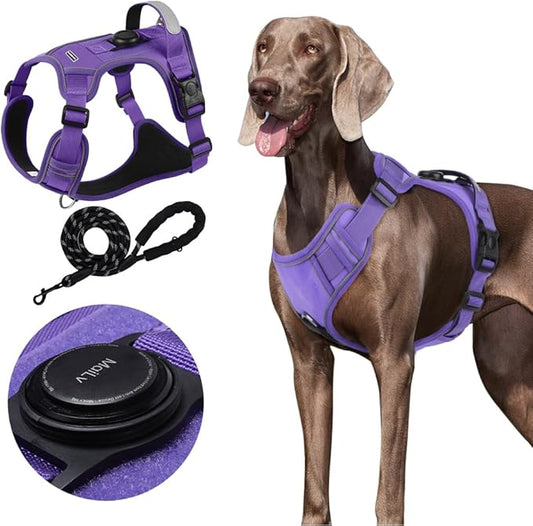 Airtag Dog Harness Chest Plate Reflective No Pull Harness with Leash for Extra Large Dogs (Purple, S)