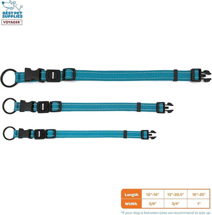 Best Pet Supplies Voyager Reflective Dog Leash or Collar with Neoprene Handle, for Small, Medium, and Large Breed Puppies, Cute and Heavy Duty for Walking, Running and Training - Turquoise, S