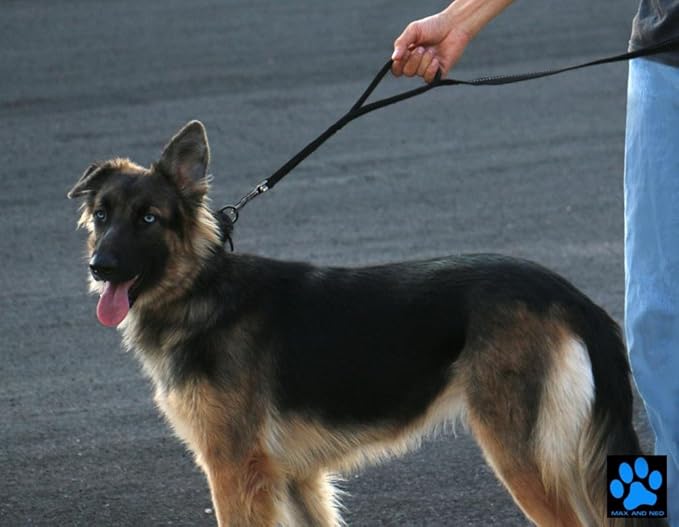 Max and Neo Double Handle Traffic Dog Leash - Reflective, Donates to Dog Rescue (Pink, 6 FT)