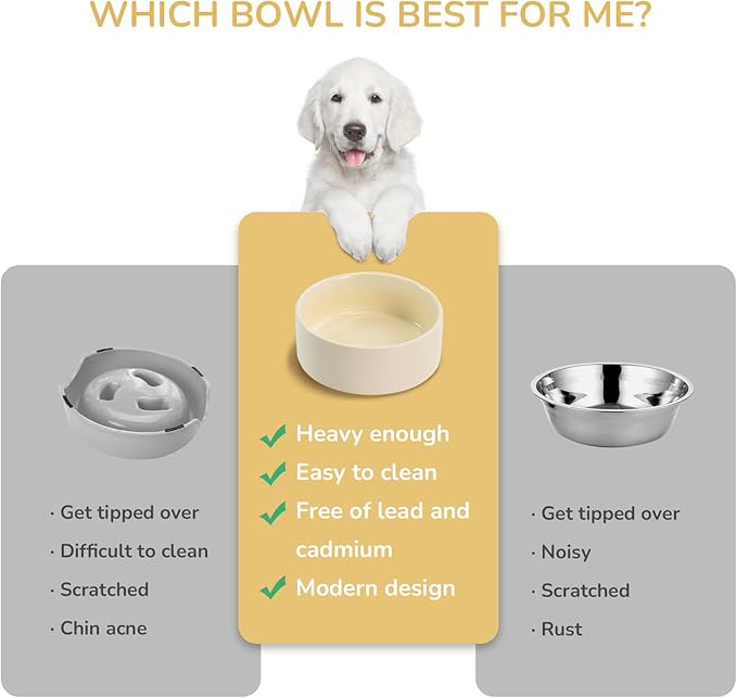SPUNKYJUNKY 13.5OZ Ceramic Dog and Cat Bowl, Modern Cute Weighted Food Water Bowl for Replacement Beige (1 Pack)