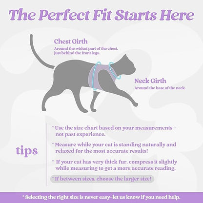 rabbitgoo Cat Harness and Leash Set for Walking Escape Proof, Adjustable Soft Kittens Vest with Reflective Strip for Cats, Comfortable Outdoor Vest, Light Purple, L