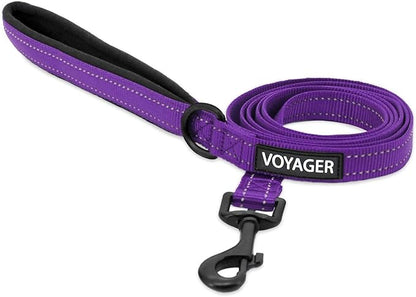Best Pet Supplies Voyager Reflective Dog Leash or Collar with Neoprene Handle, for Small, Medium, and Large Breed Puppies, Cute and Heavy Duty for Walking, Running and Training - Purple (Leash), M