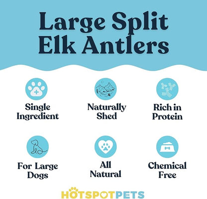 Split Elk Antlers for Dogs - 4-10 Inch Long Dog Chews (1LB Bag) Naturally Shed Antler Bone for Large Breed Aggressive Chewers - Made in USA No Chemicals (1 Pound - 5-6 Pieces, Sizes May Vary)