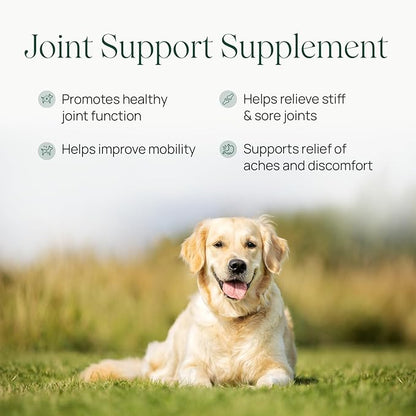 pawTree Joint & Hip Support Supplement for Dogs & Cats with Glucosamine, Chondroitin, MSM, Tumeric & Green Lipped Mussels - Vitamins & Health Essentials - All-Natural Mobility Soft Chews