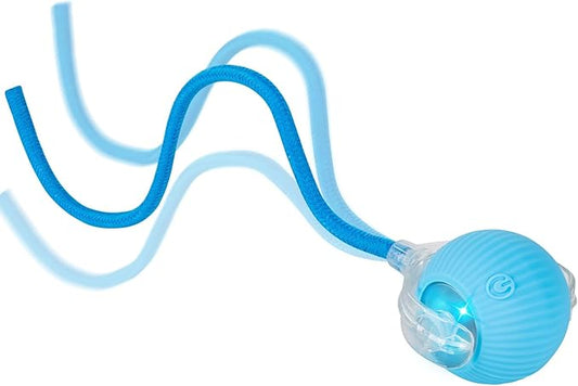 JINDILONG Cat Toy, Electric Interactive Toys for Indoor Cats, Blue