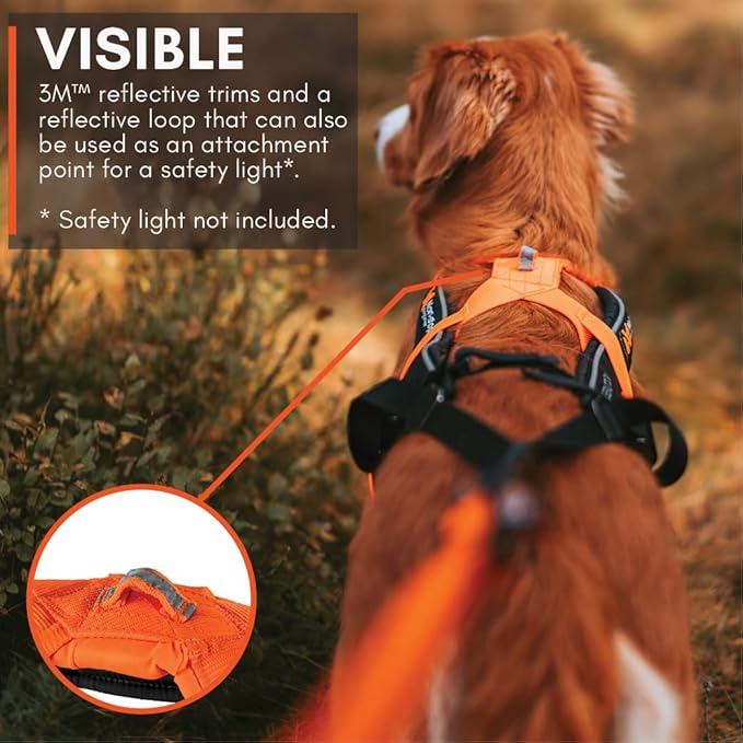 Non-stop dogwear Freemotion Harness 5.0 Dog Pulling Harness for Sports Like Running, Biking and Skiing with Dogs, Professional Adjustable Dog Harness, Blue/Gray, Size 4