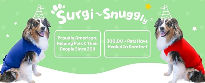 SurgiSnuggly Veterinary Invented Dog Surgery Recovery Suit for Female and Male Dogs,Spay,Neuter Dog Cone Onesie, Surgical Recovery Bodysuit for After Surgery Small,Medium,Large Dogs BB LS