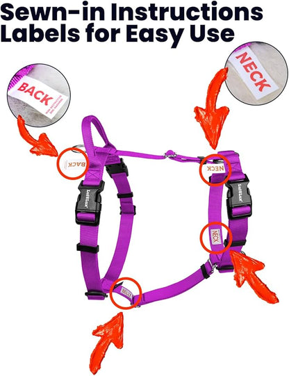 Non Restrictive No Pull Dog Harness, Neck Buckle Desgin, Lightweight Easy Walk Freedom Harness, Keep Balance, Sewn-in Instructions Labels for Easy Use, Small Dogs Chest(17-23inches) Purple