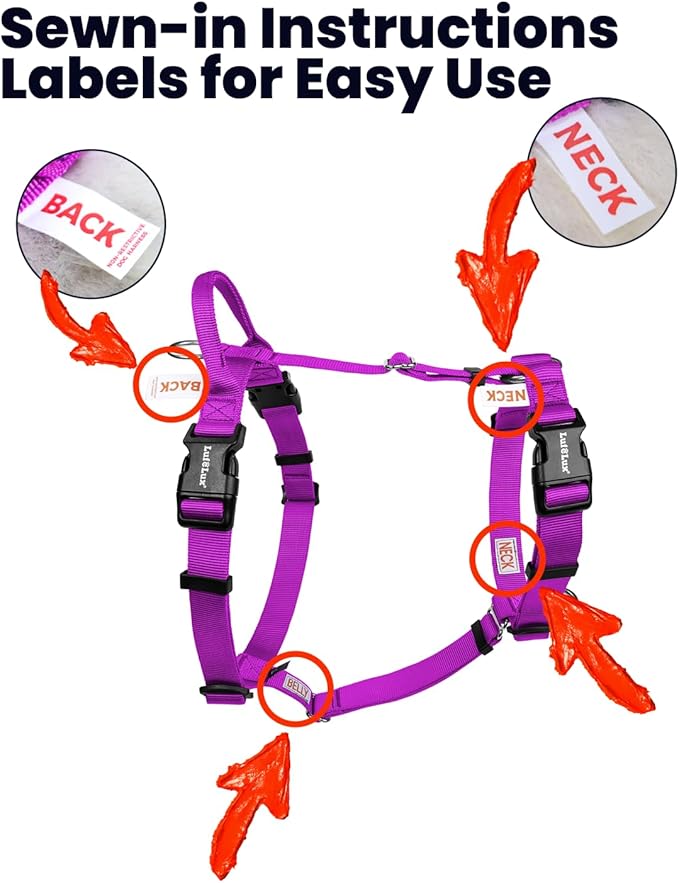 Non Restrictive Dog Harness, Easy Walk, Freedom No Pull Harness, Keep Balance, Lightweight, Neck Buckle, 2 Clips for Back/Front Clip, Sewn-in Instructions Labels for Easy Use (Purple, X-Small)
