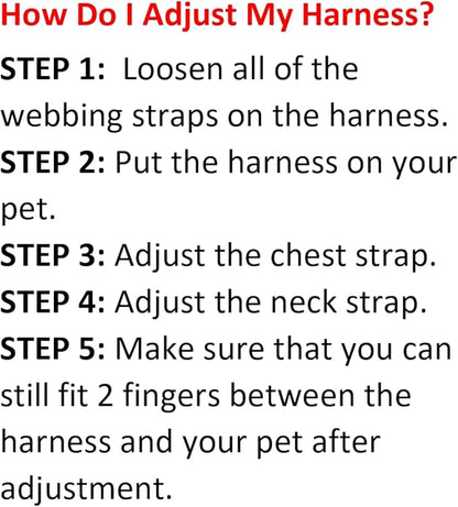 Best Pet Supplies Voyager Adjustable Step-in Flex Breathable Mesh Dog Harness for Small Medium Large Dogs Leash Set (Black), XS