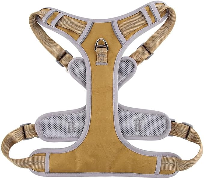 Paawpal Adjustable Dog Harness - No Pull, Reflective, Soft Padded for Small, Medium, Large Dogs - Includes Leash Beige L