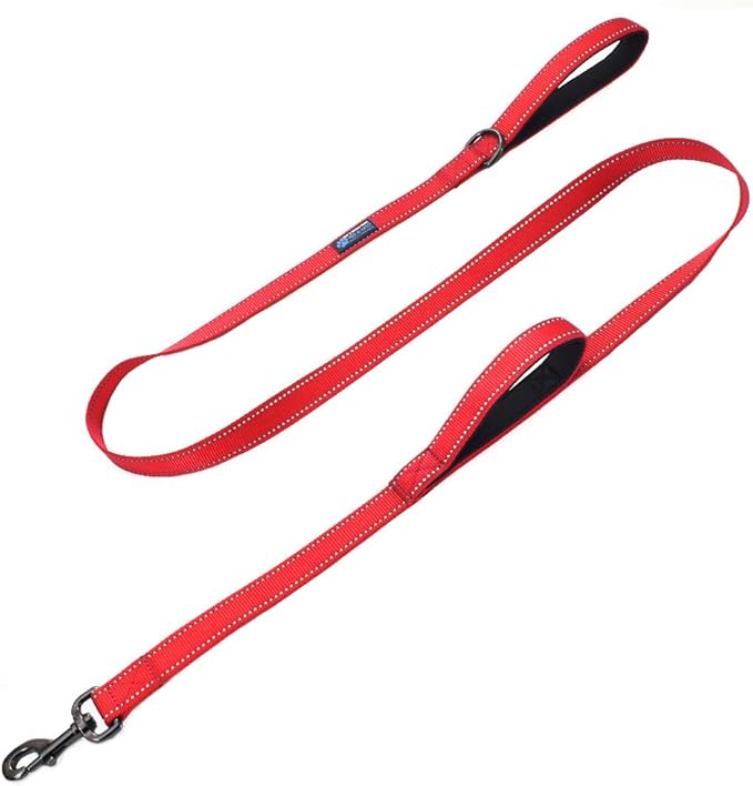 Max and Neo Double Handle Traffic Dog Leash - Reflective, 4 FT (RED)