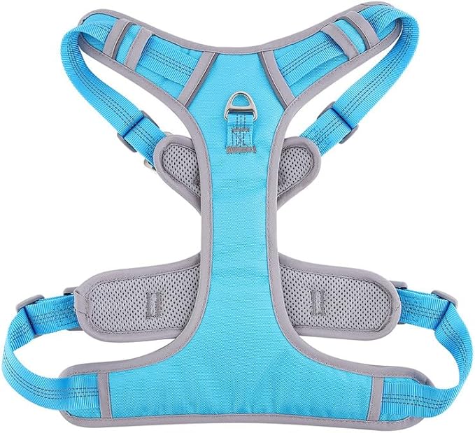Paawpal Adjustable Dog Harness - No Pull, Reflective, Soft Padded for Small, Medium, Large Dogs - Includes Leash and Collar Turquoise L