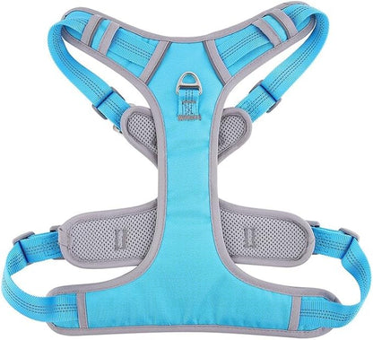Paawpal Adjustable Dog Harness - No Pull, Reflective, Soft Padded for Small, Medium, Large Dogs - Includes Leash and Collar Turquoise L