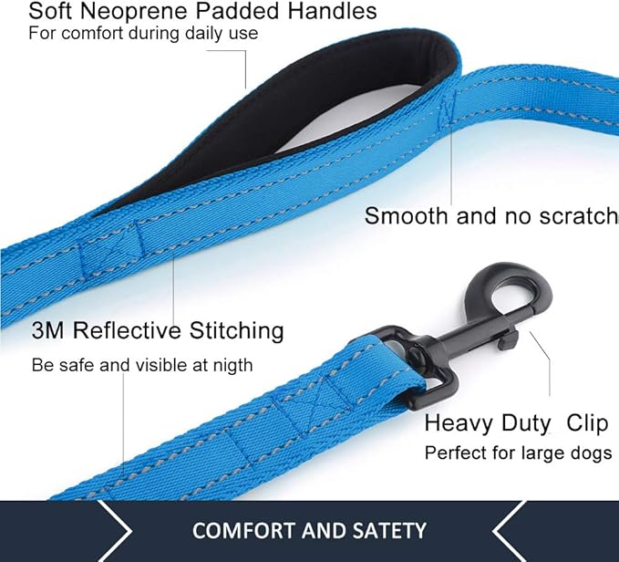 Plutus Pet Double Handle Dog Leash 5ft, Heavy Duty, Reflective Dual Handle Dog Leash for Safety Training, for Medium Large Dogs,2 Handle Leads(Blue)