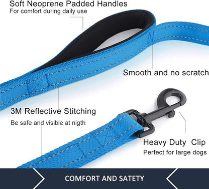 Plutus Pet Dog Leash 6ft Long,Traffic Padded Two Handle,Heavy Duty,Reflective Double Handles Lead for Control Safety Training,Leashes for Large Dogs or Medium Dogs,Dual Handles Leads(Light Blue)