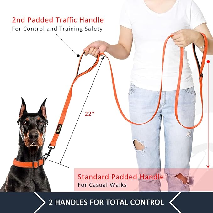 Plutus Pet Double Handle Dog Leash 5ft, Heavy Duty, Reflective Dual Handle Dog Leash for Safety Training, for Medium Large Dogs,2 Handle Leads(Orange)