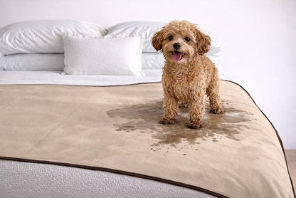 Premium Deluxe ! 100% TOP Waterproof Blanket Guarantees to Keep Your Bed Dry! Crinkle-Free Ultra-Soft Fleece Furniture Protector for People Kids Pets. EZ Wash/Dry Brown/Beige Reversible 80x60