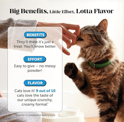 Cat Skin & Coat Health Chews – Crunchy & Creamy Treats with Omegas, Vitamin C & E, Biotin – Soothes Itchy, Dry Skin, Reduces Shedding & Promotes a Shiny Coat – Cat Vitamins (Chicken 90-Day Supply)