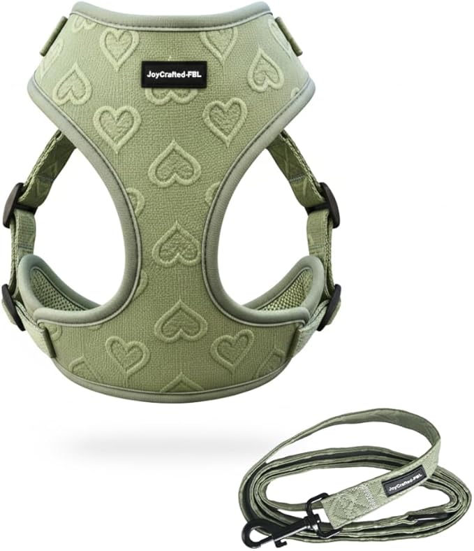 No-Pull, No-Choke Dog Harness & Leash Set – Stylish & Fun – Lightweight, Breathable Neoprene – Unique Heart Pattern – Adjustable for Extra Small Dogs (Harness Leash Set-Green, XX-Small)