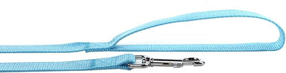 Nylon Dog Leash 10 Feet Long, Walking Training Dog Leashes for Medium Large Dogs, 1 Inch Wide (Blue)