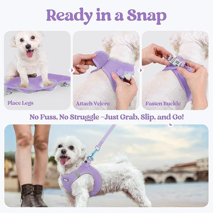 rabbitgoo Dog Harness Small Sized and Leash Set, Step in Soft Light Puppy Vest, Breathable Mesh Pet Harness, Reflective for Safe Easy Walking, Light Purple XXXS