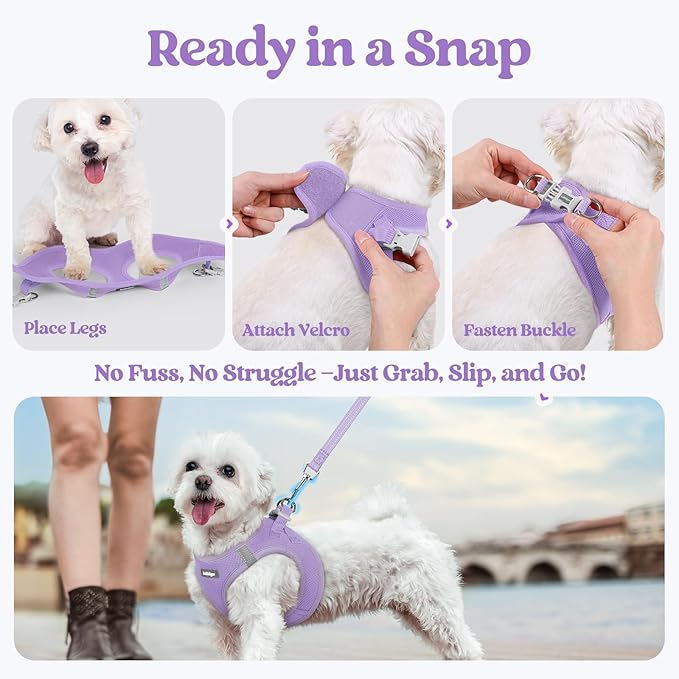 rabbitgoo Dog Harness Small Sized and Leash Set, Step in Soft Light Puppy Vest, Breathable Mesh Pet Harness, Reflective for Safe Easy Walking, Light Purple XS