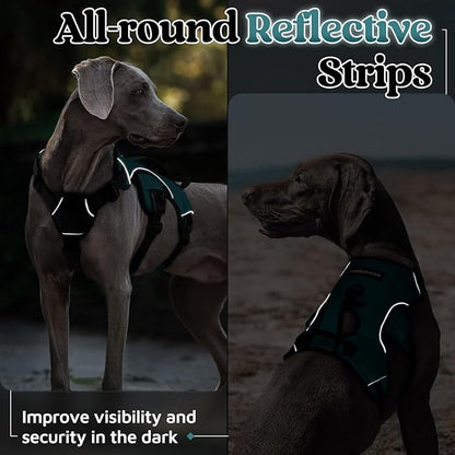 rabbitgoo Escape Proof Dog Harness Medium, Soft Padded Full Body Pet Harness, Reflective Adjustable No Pull Vest with Lift Handle and Leash Clip for Walking Hiking Training, Dark Green, M