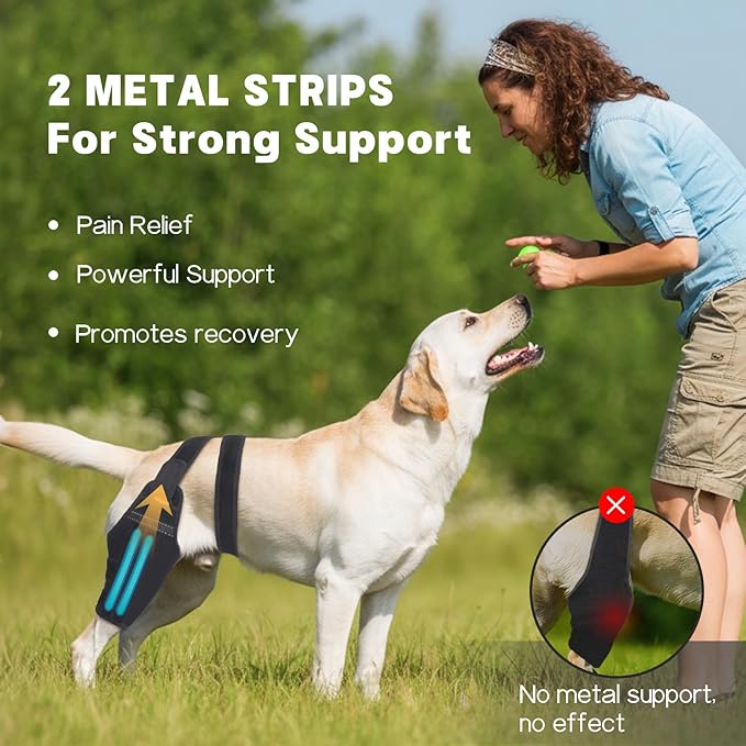 Dog Knee Brace for Torn ACL Hind Leg–Adjustable Support Dog Leg Brace for Back Leg with 2 Stabilizers, Hip Support to Reduces Pain Luxating Patella , Ligament Injuries, CCL (Black, Left Leg, S)