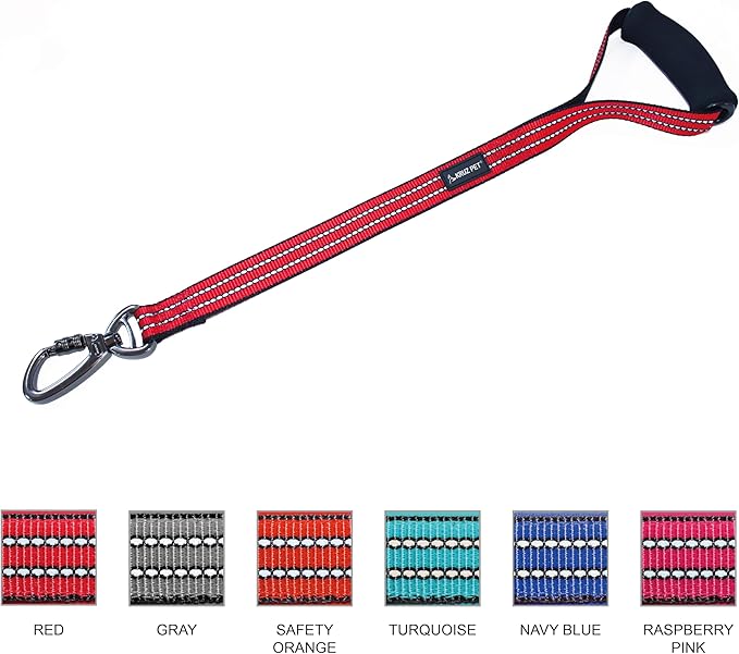 Kruz Dog Leash (Width - 1”, Length - 20 in) Reflective Rope Lead with Soft Silicone Grip, Click & Lock Snap, Durable Nylon Safety Lead with Locking Carabiner Clip & Foam Handle - Red