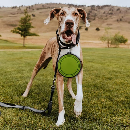 Paercute Collapsible Dog Bowl, Lightweight and Portable, Ideal for Hiking, Camping, and Outdoor Use