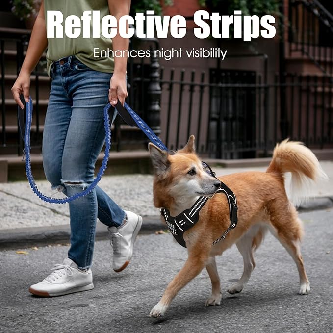 BUMBIN 6Ft Dog Leash - Large Dogs, Bungee Leash with 2 Handles, Heavy Duty, No Pull Shock Absorbing, Deep Blue