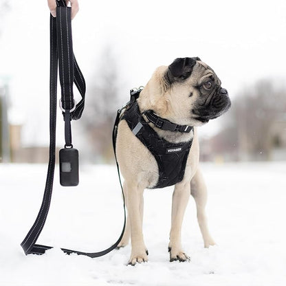 Best Pet Supplies Voyager Reflective Dog Leash or Collar with Neoprene Handle, for Small, Medium, and Large Breed Puppies, Cute and Heavy Duty for Walking, Running and Training - Black (Leash), L